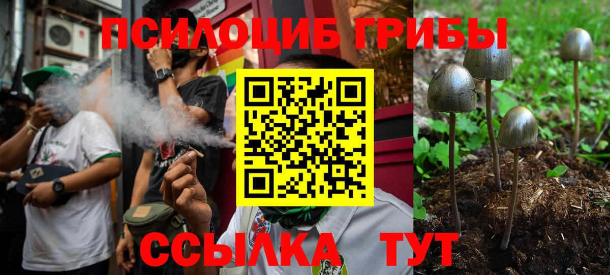 Псилоцибиновые грибы мухоморы  Вход с VPN  Псилоцибиновые грибы Cubensis  купить наркотик  Муравленко 